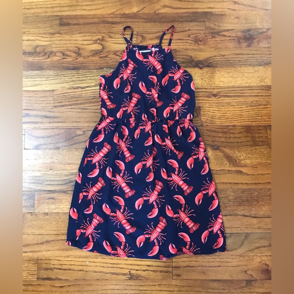 Girls Old Navy Crawfish Themed Dress NWOT
Waist Spaghetti Straps 
Small … - Picture 3 of 9